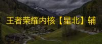 王者荣耀内核【星北】辅助