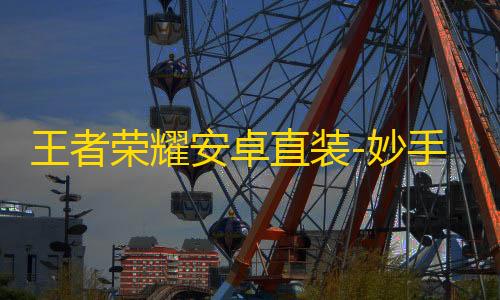 王者荣耀安卓直装-妙手解密辅助