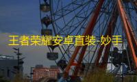 王者荣耀安卓直装-妙手解密辅助
