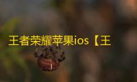 王者荣耀苹果ios【王者助手】辅助
